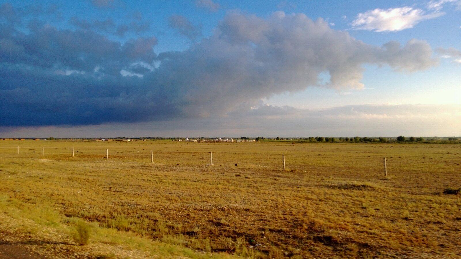 三農(nóng)日報|商務部人士建議:可放寬小型養(yǎng)殖戶限制；新商機：跑豬可以賺錢