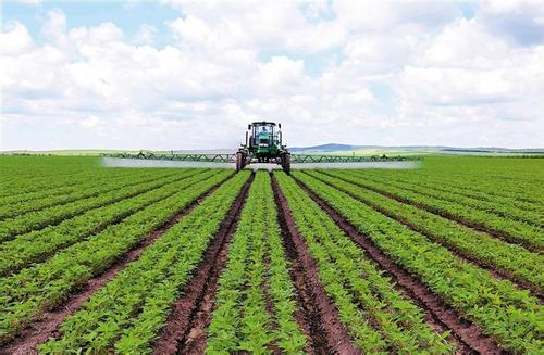 三農(nóng)日報|2019中央投資農(nóng)業(yè)重點支持公布；“羊銀行”扶貧模可復制