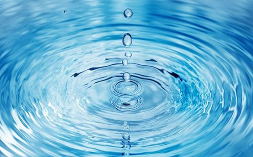 三農日報|養驢業或迎發展新機遇；溫氏乳業總負債達5.71億；新商機：紙上種菜