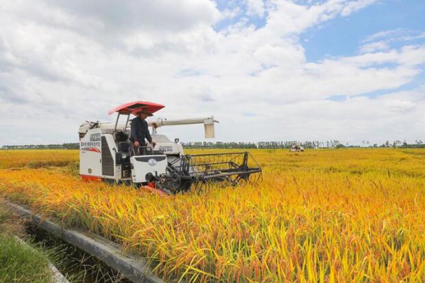 三農日報|突發！沈陽發現非洲豬瘟疫情；超糧網獲數千萬Pre-A輪融資