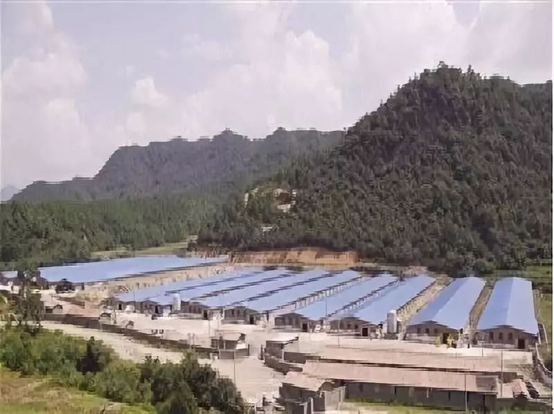 案例|農業循環經濟的典范——“圣農”模式