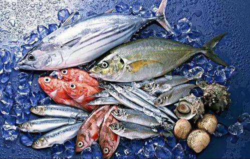 【養殖行業】水產業最大風口在哪里？