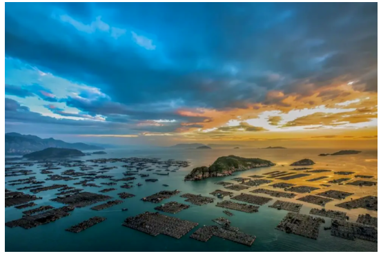 迭代與升級！連江鮑魚產業迎來“新機遇”，鏈主企業如何發力