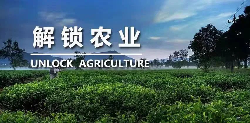 方法拆解！剖析認養一頭牛、蒙牛的成功之道，他們做對了什么