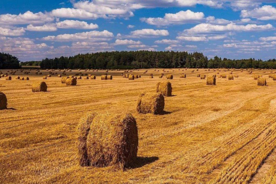 三農(nóng)日報(bào)|政策：加大農(nóng)作物秸稈綜合利用；數(shù)據(jù)：養(yǎng)殖農(nóng)場收益高于種養(yǎng)結(jié)合