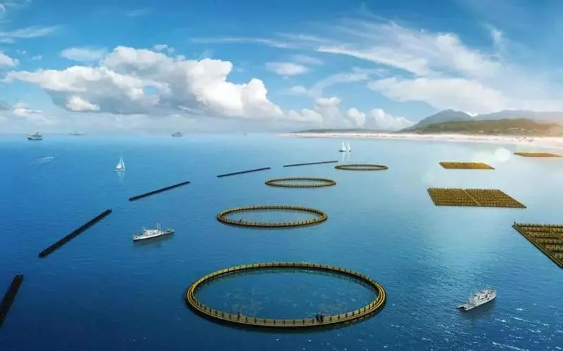 【政策解讀】農(nóng)業(yè)農(nóng)村部印發(fā)加強(qiáng)水生生物資源養(yǎng)護(hù)指導(dǎo)意見