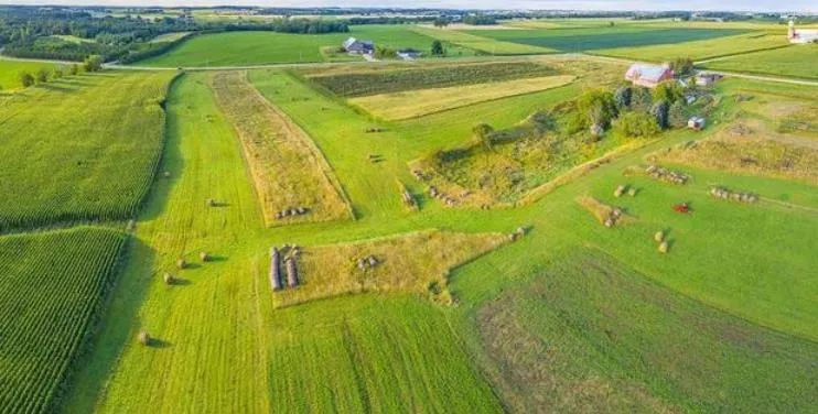 【世界農(nóng)業(yè)案例】荷蘭的農(nóng)業(yè)，超乎想象！