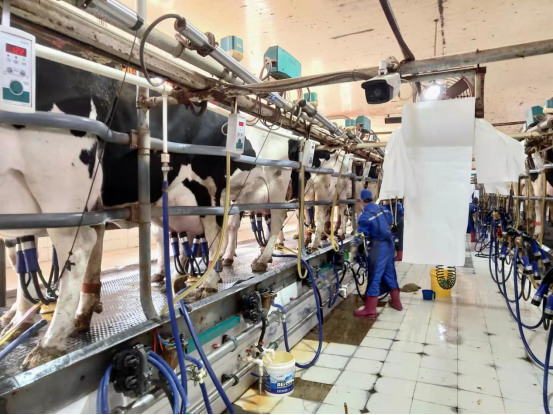 【數(shù)實(shí)融合】天津：數(shù)字化應(yīng)用帶動(dòng)智能養(yǎng)殖發(fā)展