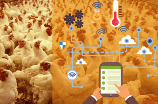 三農(nóng)日報(bào)|政策：構(gòu)建農(nóng)業(yè)綠色供應(yīng)鏈；專家：我國養(yǎng)殖業(yè)進(jìn)入精細(xì)化時(shí)代