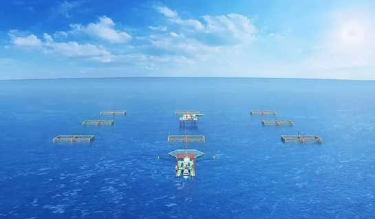 三農日報|政策：鼓勵發展深遠海養殖；農業社會化服務組織年營業額達700億