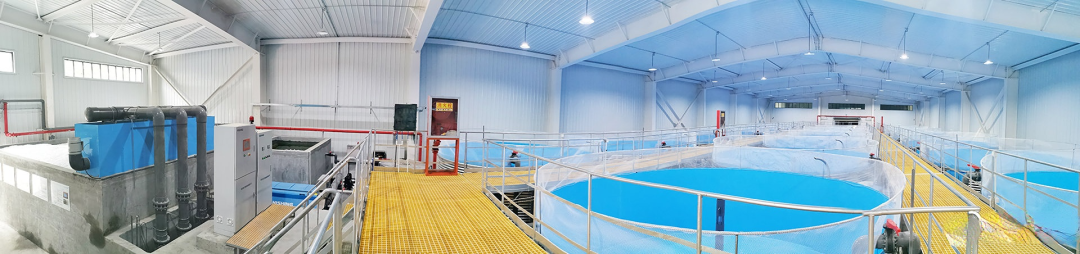 【農業科技】智慧漁業可視化管理系統，構建高效智慧養殖