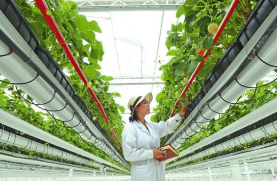 三農(nóng)日?qǐng)?bào)|政策：帶動(dòng)小農(nóng)戶發(fā)展新產(chǎn)業(yè)新業(yè)態(tài)；券商：生豬行業(yè)或?qū)⑦M(jìn)入微利狀態(tài)