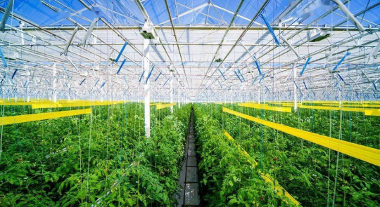 農(nóng)業(yè)產(chǎn)業(yè)周報(bào)|大疆農(nóng)業(yè)、國(guó)聯(lián)水產(chǎn)、隆平高科、華測(cè)檢測(cè)最新動(dòng)態(tài)