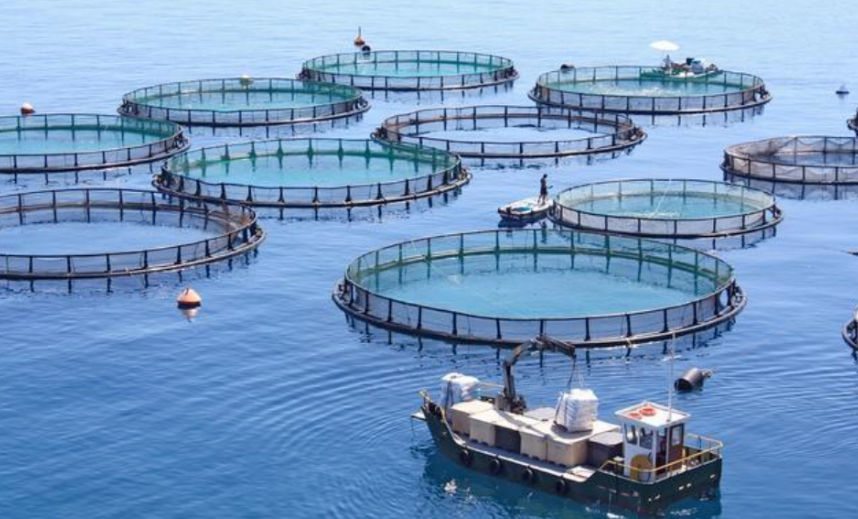 智慧漁業發展現狀及未來趨勢研究