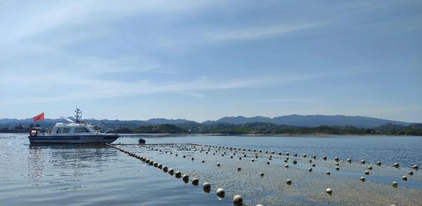 【農業科技】智慧化漁場：科技引領水產養殖新未來