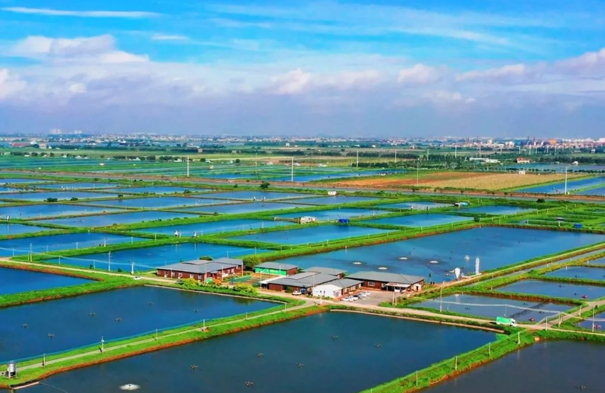 重讀文件！智慧漁業未來發展方向（附文件）