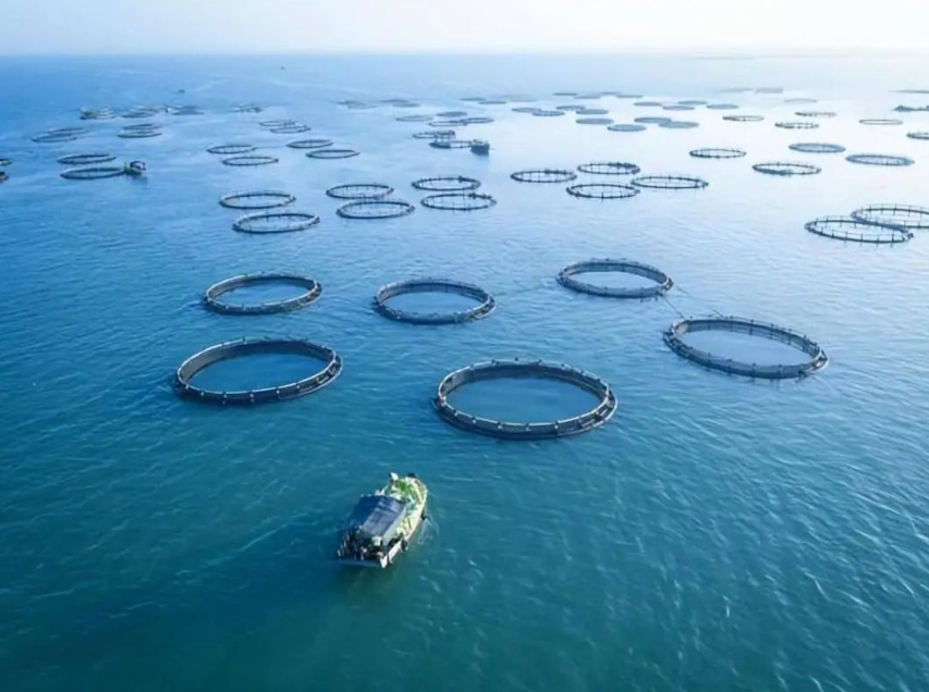 【智慧漁業】朱明院士：智慧漁業是解決水產養殖現存問題的關鍵