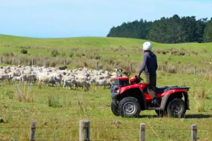 養殖行業迎來6.0時代，產業鏈將被重構！