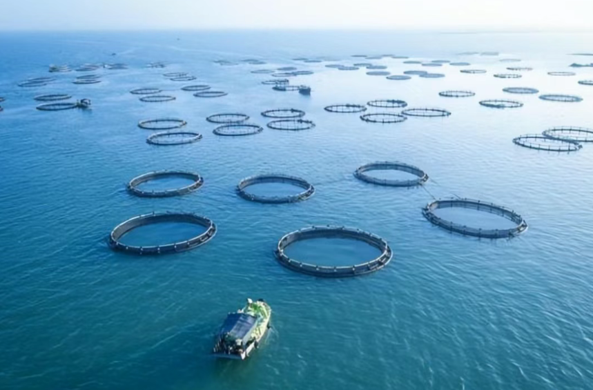 李道亮：大力發展智慧漁業，推動我國漁業高質量發展