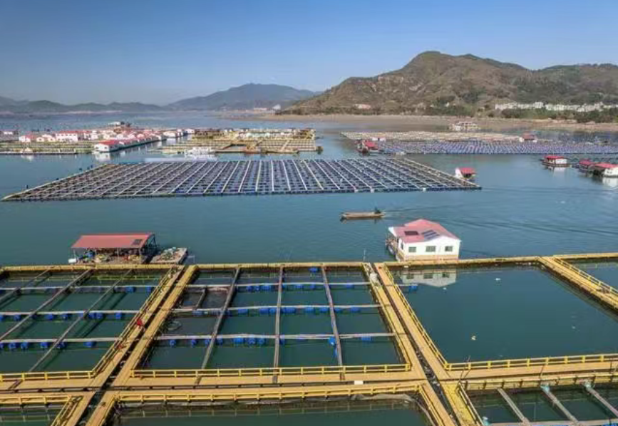 【ppt資料】智慧水產養殖解決方案