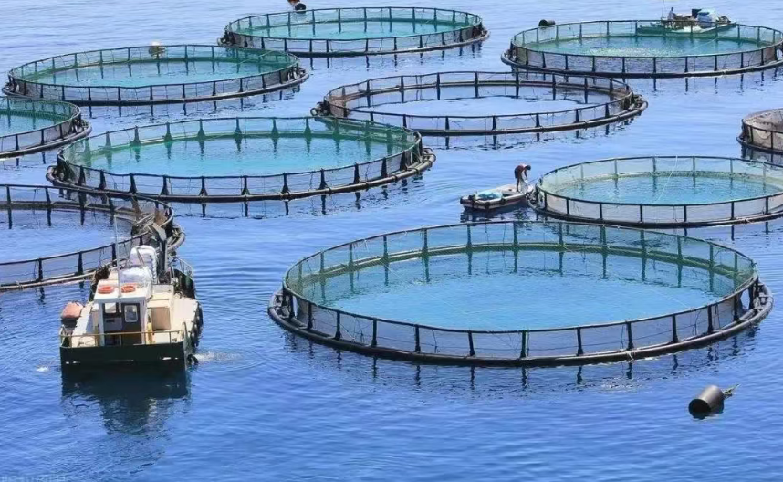 【養殖行業創新】現代設施水產養殖的16種典型模式