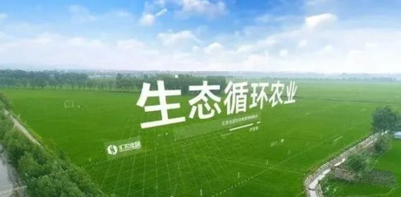 【農業模式】新型生態環保高效可循環養殖新模式！