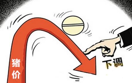 農業部：十月份豬價能否樂觀？