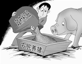 今年最新養豬補貼究竟有哪些?