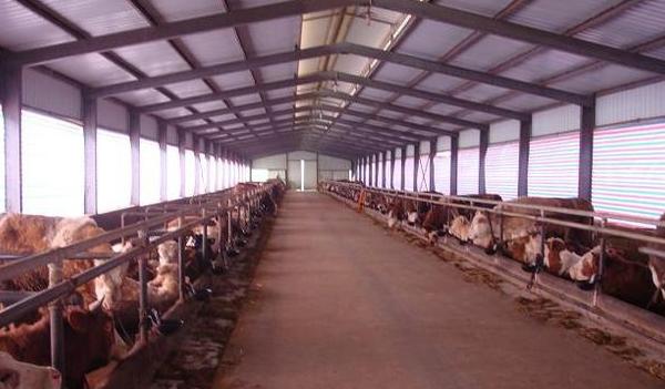 2016/2017養殖業到底養什么好？大規模養殖什么賺錢？