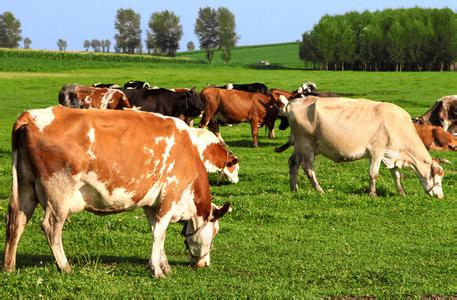 養(yǎng)殖業(yè)有什么風(fēng)險(xiǎn)