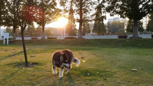 禁養!禁養!到底讓我怎么養?
