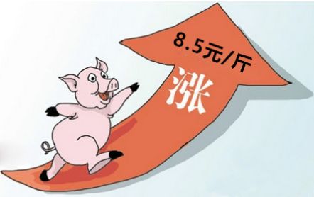 2017年全國生豬禁養及拆遷時間表！