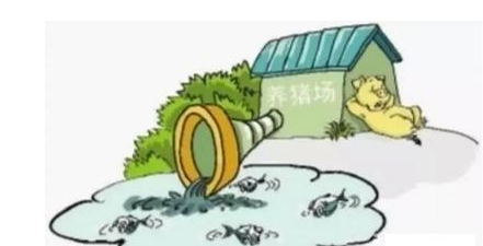 專家聲稱：2018環保稅法的實施影響最大的是養豬業！