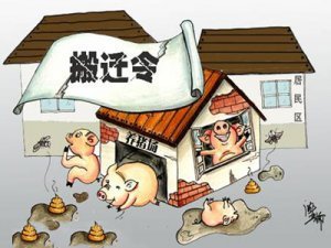 2017畜禽“禁養(yǎng)區(qū)， 你該怎么做？