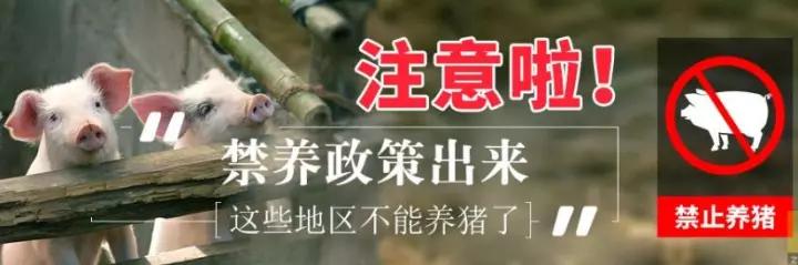 微信圖片_20171120093144 2.jpg