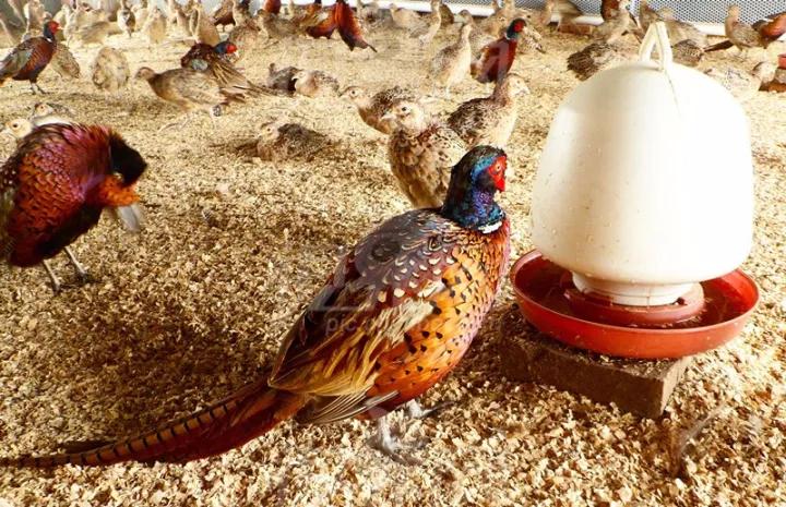 微信圖片_20171120093207 6.jpg