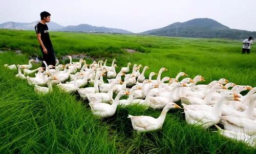 微信圖片_20171120093201 5.jpg