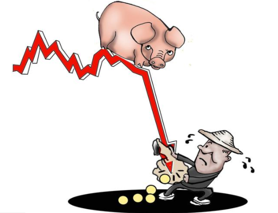 QQ圖片20180515095554 1.png