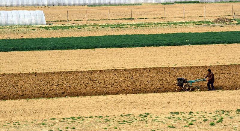 玉米降價、馬鈴薯滯銷、大豆競爭大：2017你想好要種啥