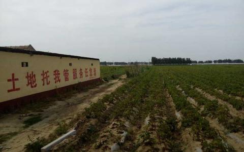 土地托管，你懂個屁！