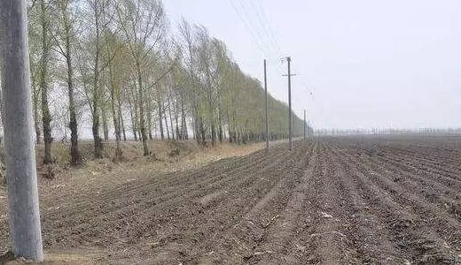并不是所有的土地都能領取農業補貼，這幾種類型的土地要靠邊站！