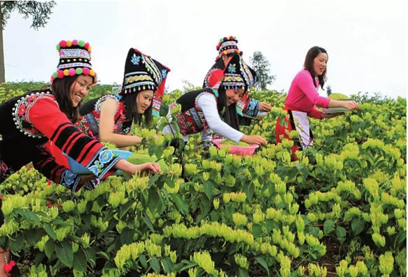 糧價大跌，農(nóng)業(yè)還能不能干了？國家要這么調(diào)整……