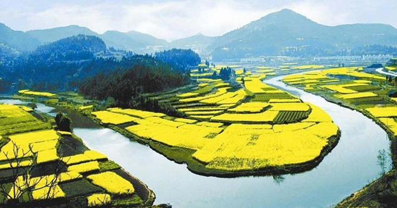 未來農業的這5大轉變，將會影響農民“一生”，別說沒提醒你！