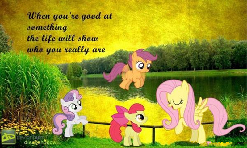 從《小馬寶莉》中看農(nóng)業(yè)經(jīng)營(yíng)重要性簡(jiǎn)直是一部農(nóng)業(yè)經(jīng)營(yíng)教科書(shū)