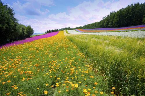 三農日報|2018年種植業10大工作要點；農服領域再迎資本熱潮