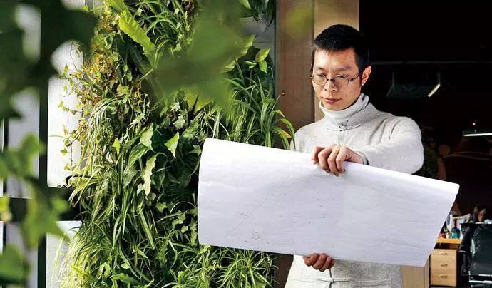 農業另類玩法：屋頂菜園（附案例分析）