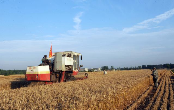 大前景|火了！火了!火了！國(guó)家明確支持農(nóng)業(yè)產(chǎn)業(yè)化聯(lián)合體