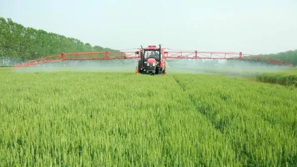 重磅|好地全靠養，親土種植達人告訴你什么是“最會種地的人”！