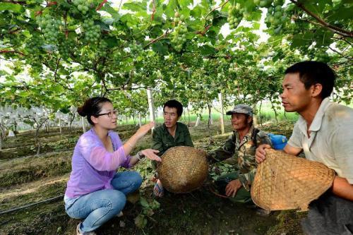 案例|女漢子做農業風生水起，她的方法是什么？ (附5個干法)