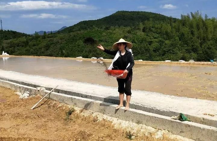 她放棄百萬年薪，租了400畝地，準備做高端農產品！